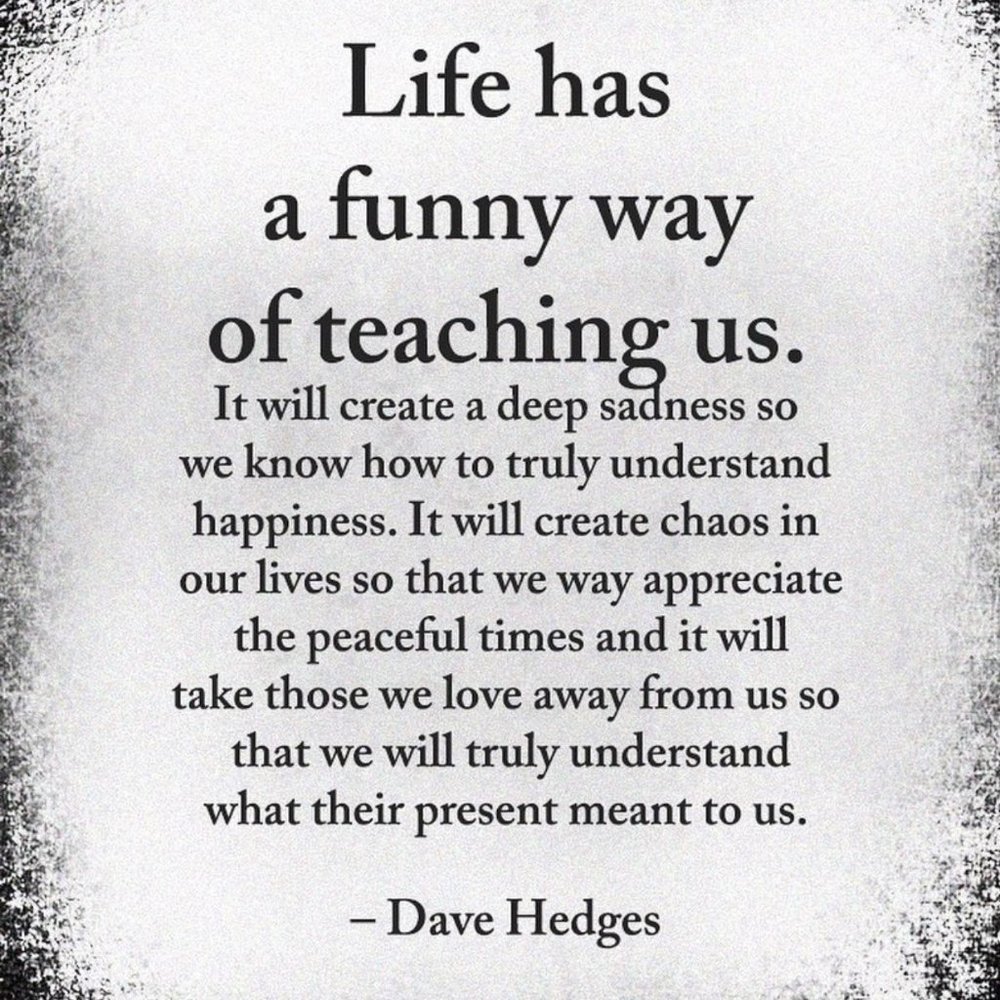 Life Quote- Dave Hedges